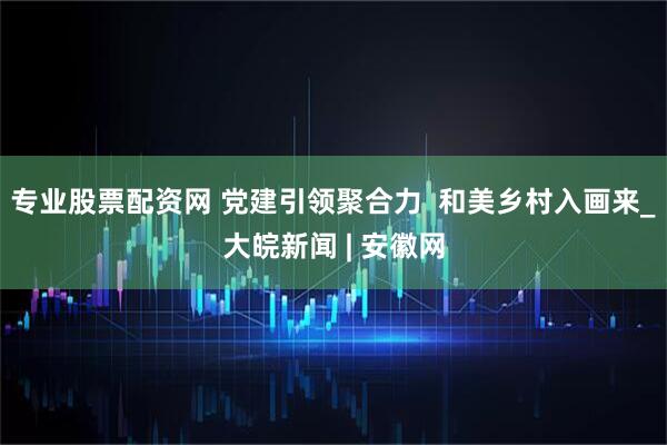 专业股票配资网 党建引领聚合力  和美乡村入画来_大皖新闻 | 安徽网