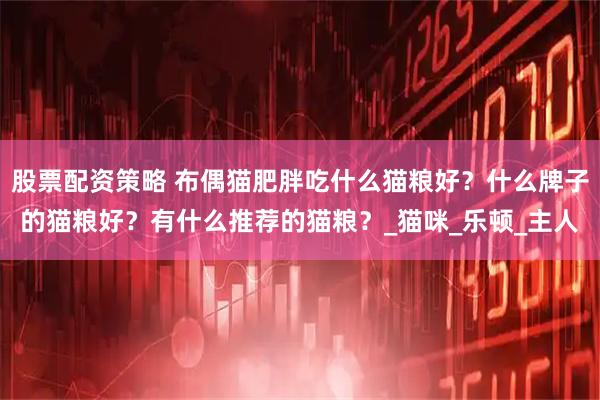 股票配资策略 布偶猫肥胖吃什么猫粮好？什么牌子的猫粮好？有什么推荐的猫粮？_猫咪_乐顿_主人